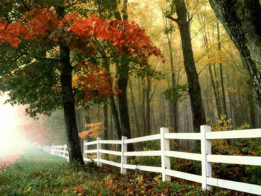 early morning